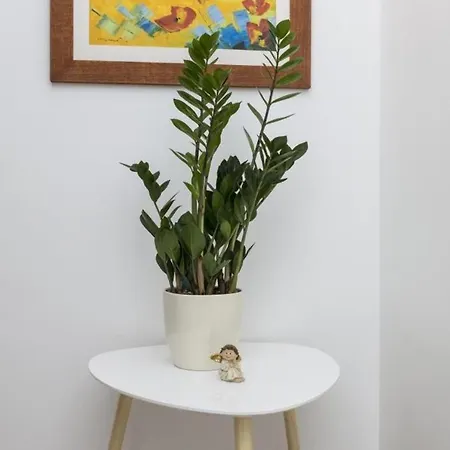 Take That - Two Bedroom With Terrace Appartement Dubrovnik